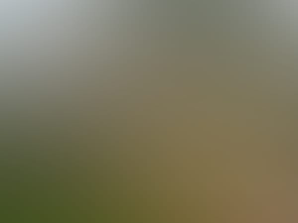 Auf Gutenbergs Spuren / So, 15. Mai 2022