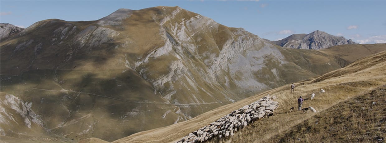 – AUSVERKAUFT – Alpenland