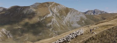 – AUSVERKAUFT – Alpenland