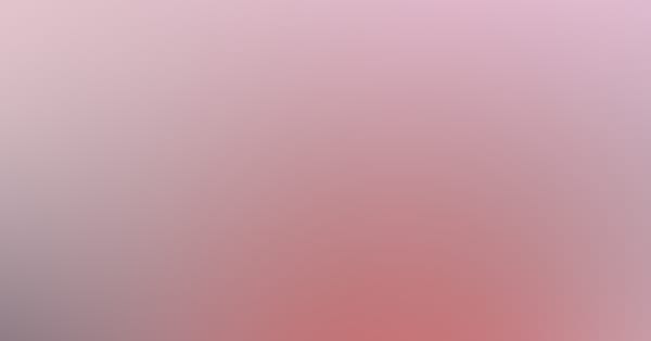 WDLNDS x PANTONE