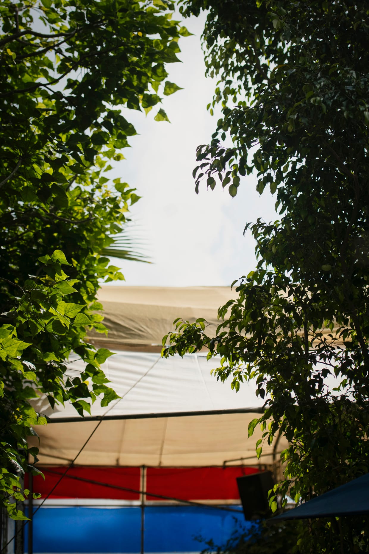 waX // Groove Gardens // 22.03