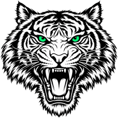 Jungle Strike Championship