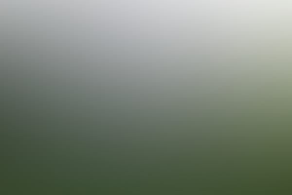 New England Mutiny Season Ticket