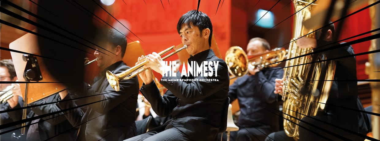 The Animesy im Konzert - München Nov '26