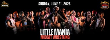 Tiny Wrestling - Ringside Upgrade