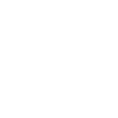 BRICKS