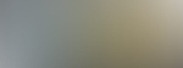 FC Viktoria Berlin vs. 1. FFC Fortuna Dresden