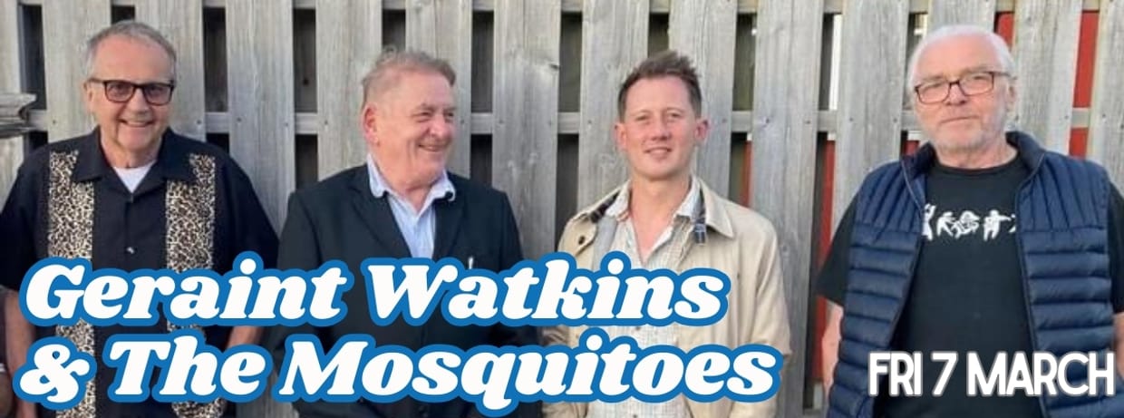 Geraint Watkins & The Mosquitoes
