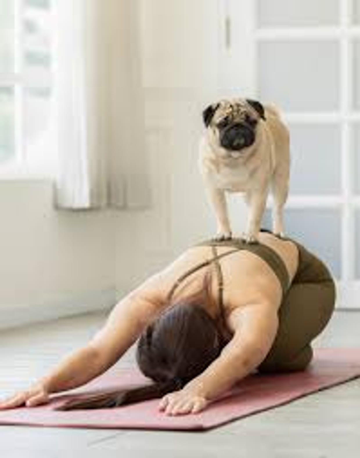 TUSC: Puppy Yoga!