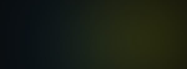 Radikalisierung im Netz