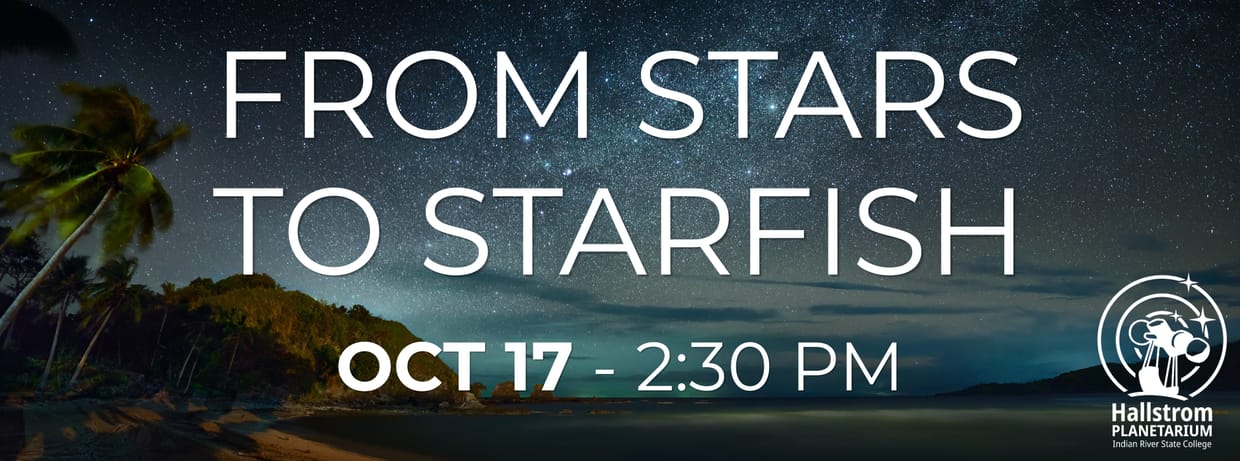 From Stars to Starfish