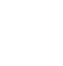 Volero le Cannet