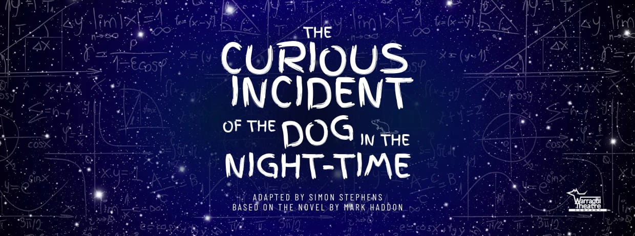 The Curious Incident of the Dog in the Night-Time