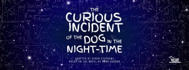 The Curious Incident of the Dog in the Night-Time