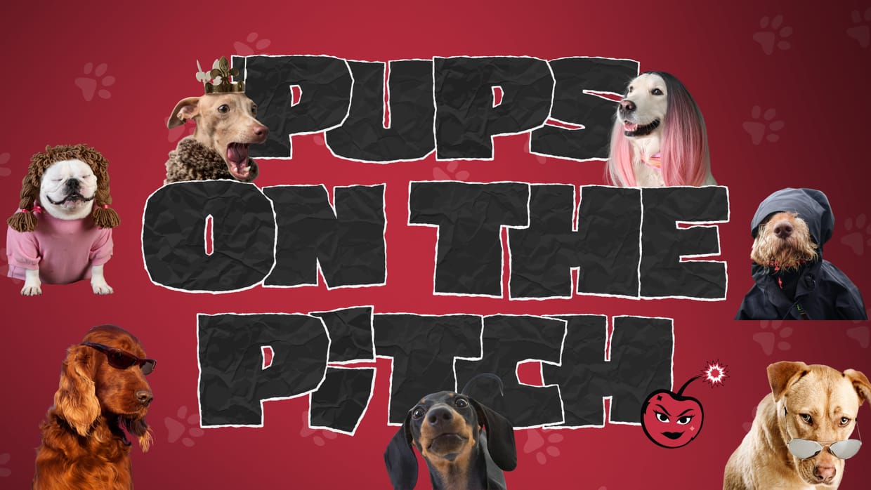 Pups on the Pitch