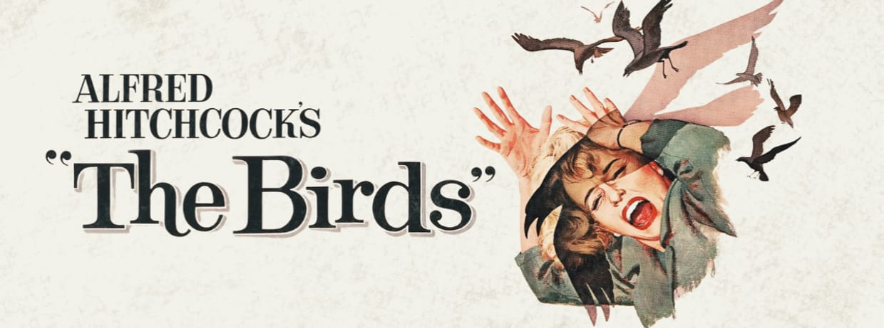 The Birds