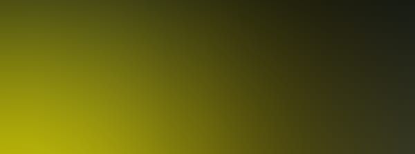 AUSVERKAUFT: KLAVIER VIRTUOS