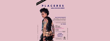 PLACERES, ANALES DE UN CUERPO
