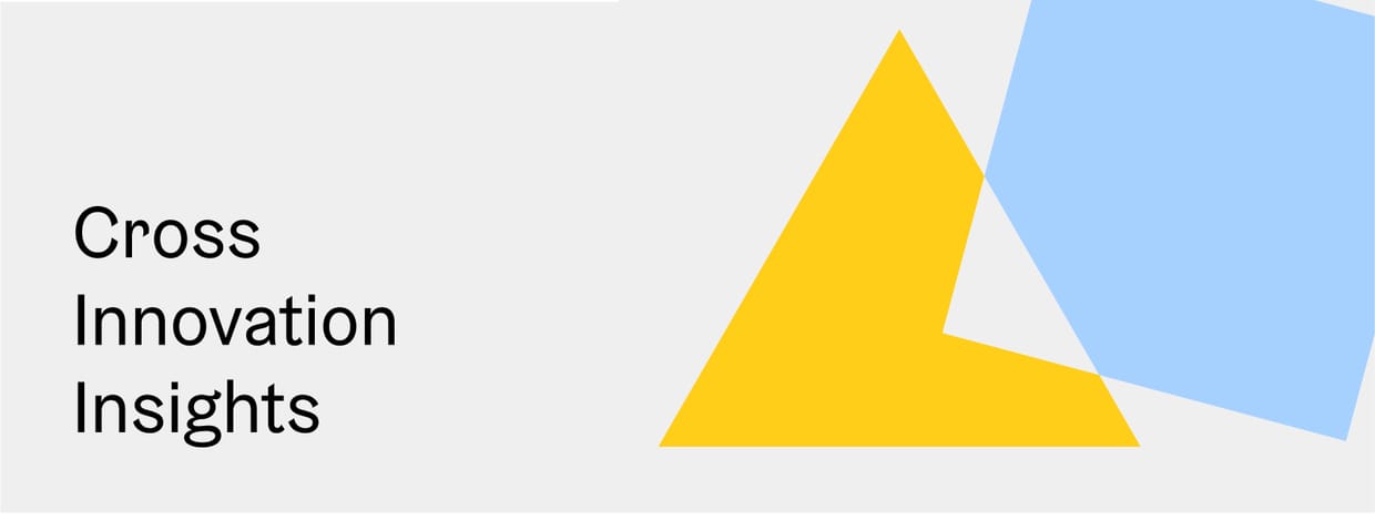 Cross Innovation Insights: KI als Change-Projekt