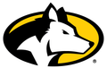 Michigan Technological University