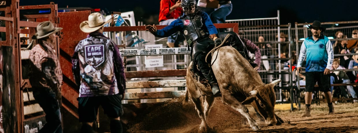 Bulls & Broncs