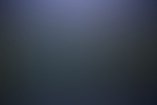 Brite Winter 2023