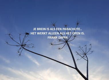 Hartcoherentie