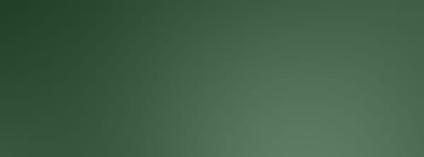 SHIMMER. x bebenLIVE
