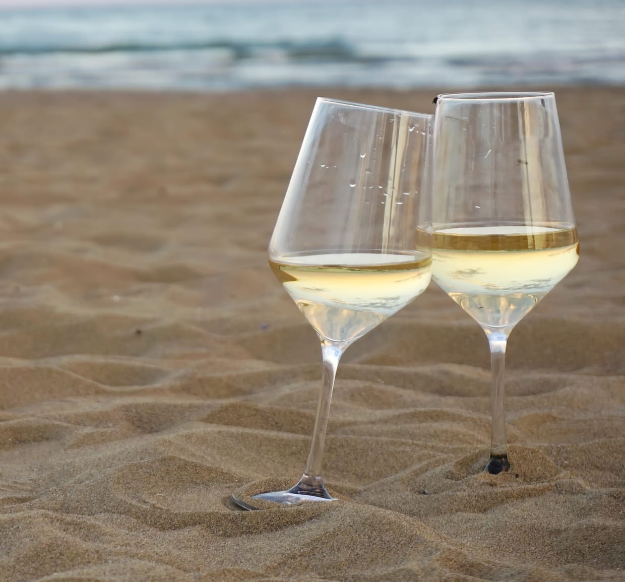 VinLab Light – Friske & aromatiske hvidvine 🥂
