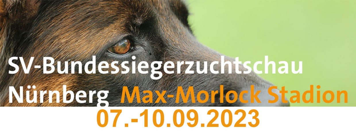 BSZ 2023 - Parkplätze und Eintrittskarten