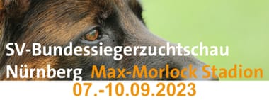 BSZ 2023 - Parkplätze und Eintrittskarten