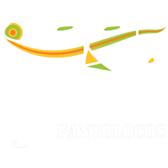 CORPORACIÓN CASA ARTE & PANTOLOCOS