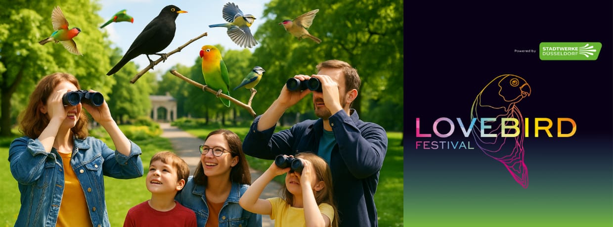 Vogelgezwitscher & Festivalflair? Yes, please! Kopie