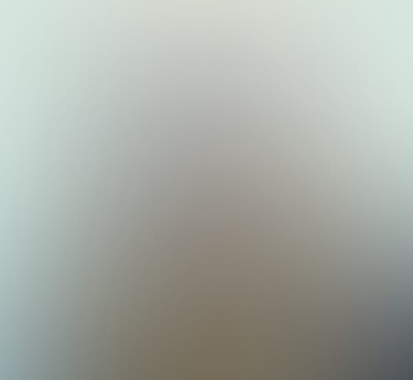 454