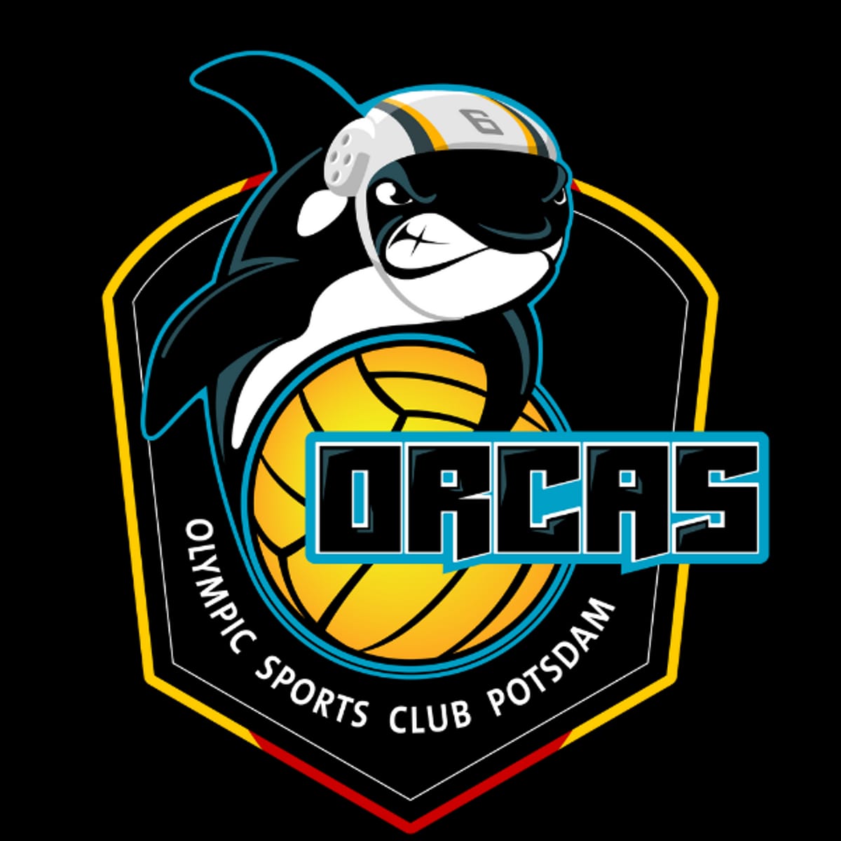 Potsdam Orcas