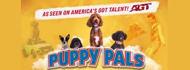 Puppy Pals Live - The Action-Packed Comedic Stunt Dog Show