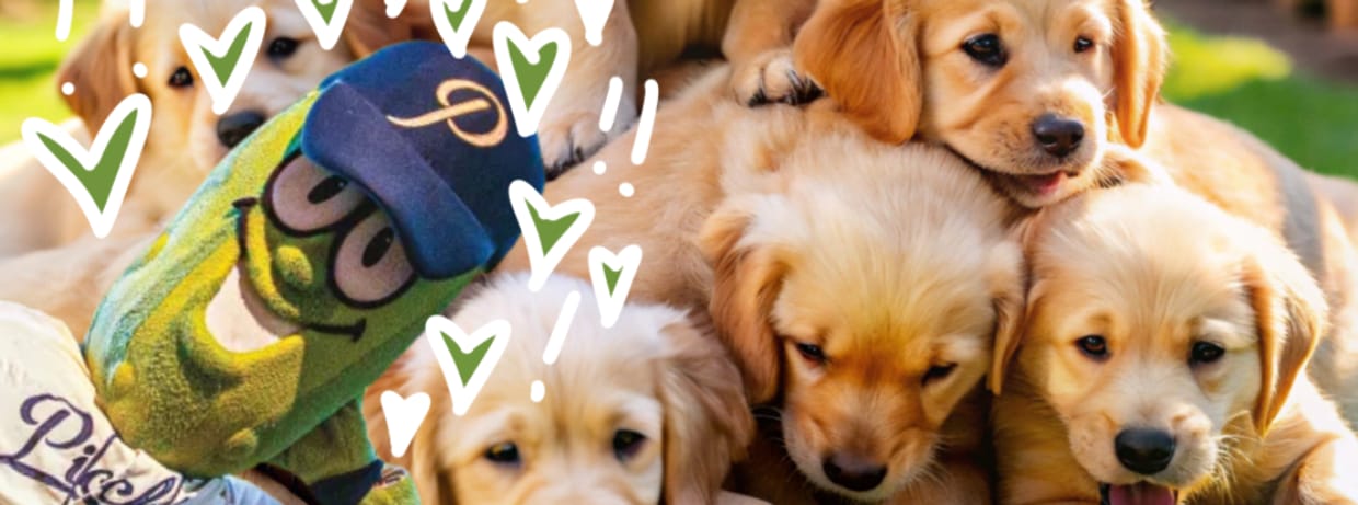 101 Golden Retrievers Night + Woof Wednesday Presented by Beecher's Mac & Cheese
