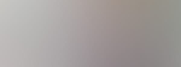 Antrag Deutschlandticket