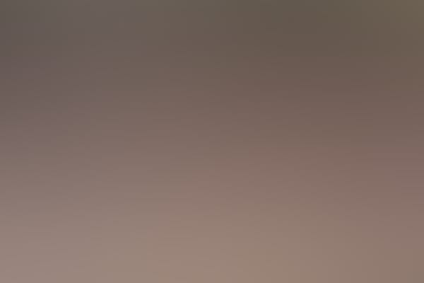 MMO'26 | Dauerkarte | Samstag & Sonntag