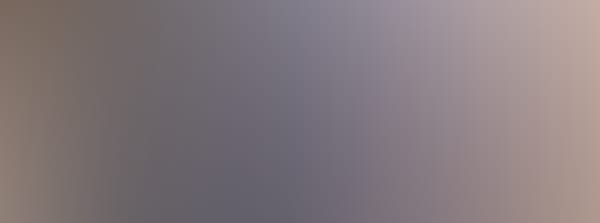 Mustershop: "Ringen"