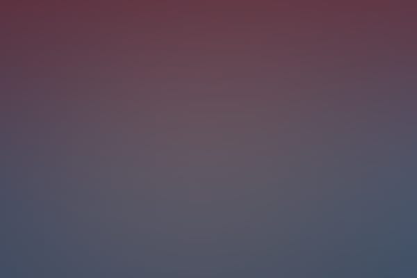 Guided Tour