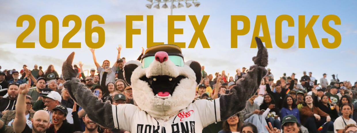 2026 Flex Packs