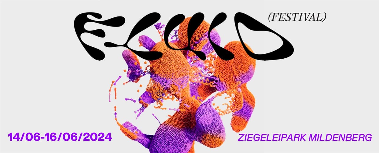 Fluid Festival 2024