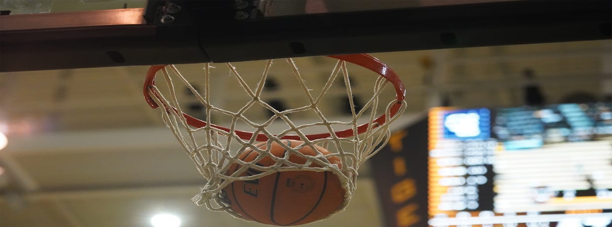 2026 Basketball Season