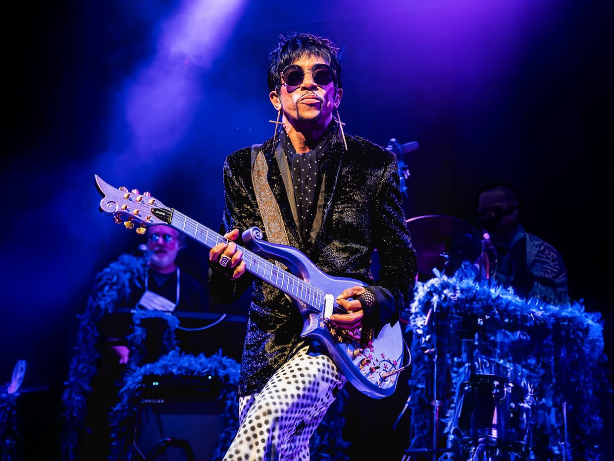 The Purple Madness: a Prince Tribute
