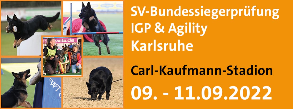 SV-Bundessiegerprüfung IGP & Agility 2022 in Karlsruhe