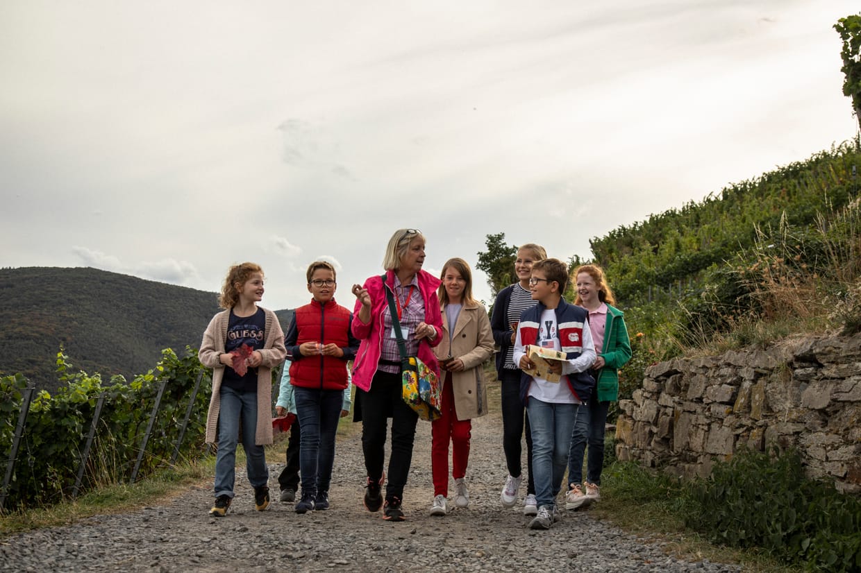 Kinderführung-Mit Lotta durch den Weinberg