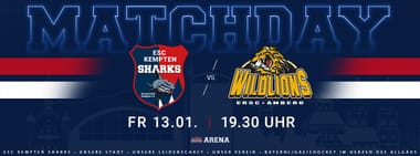 MATCHDAY vs. WILDLIONS
