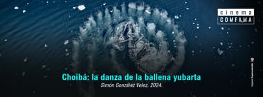 Choibá: la danza de la ballena yubarta
