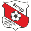 Spvgg Hankofen-Hailing